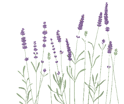 Lavender swaying