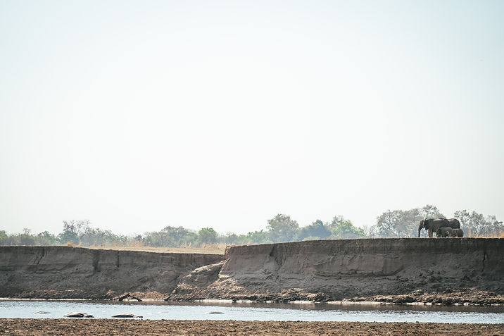 Chibembe Island in the Luangwa River, South Luangwa National Park