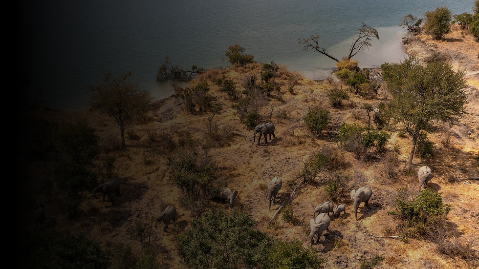 Untitled design (13).png