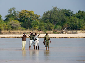 Walking Safari in the Luangwa River Valley