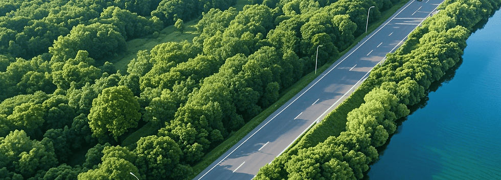 生成 ESG 背景图 (2) (1)_edited.jpg