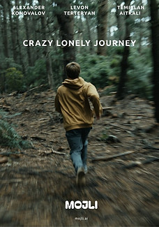 Crazy Lonely Journey .jpeg