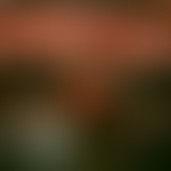 WOS anuncia su gira mundial ‘Descartable’