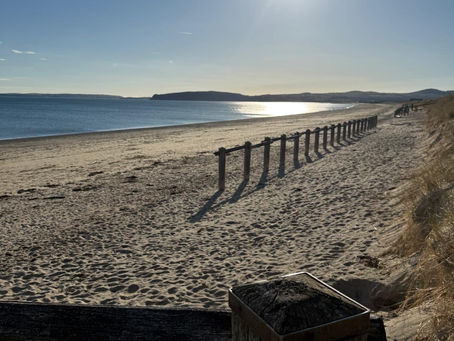 Final countdown: Strong field of 30 anglers set for Pwllheli showdown for Shore DragonMania prize