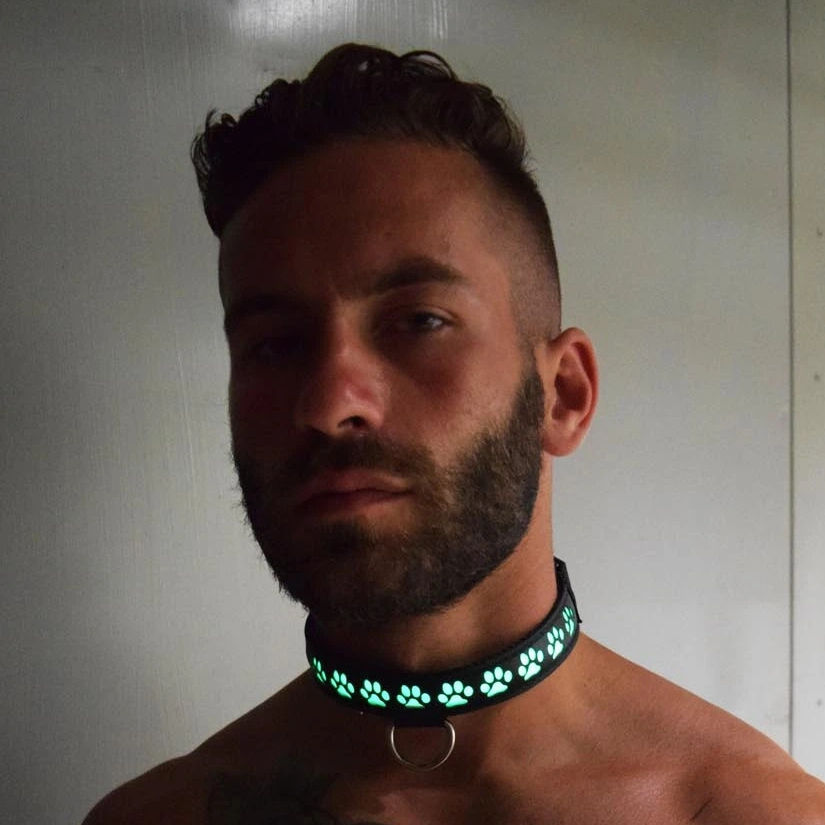 Collier Lumineux GLOW PUP Breedwell