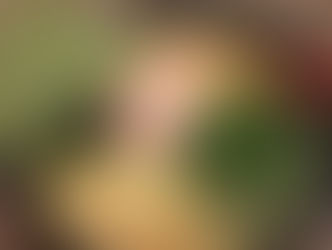 総代 麺家 あくた川!