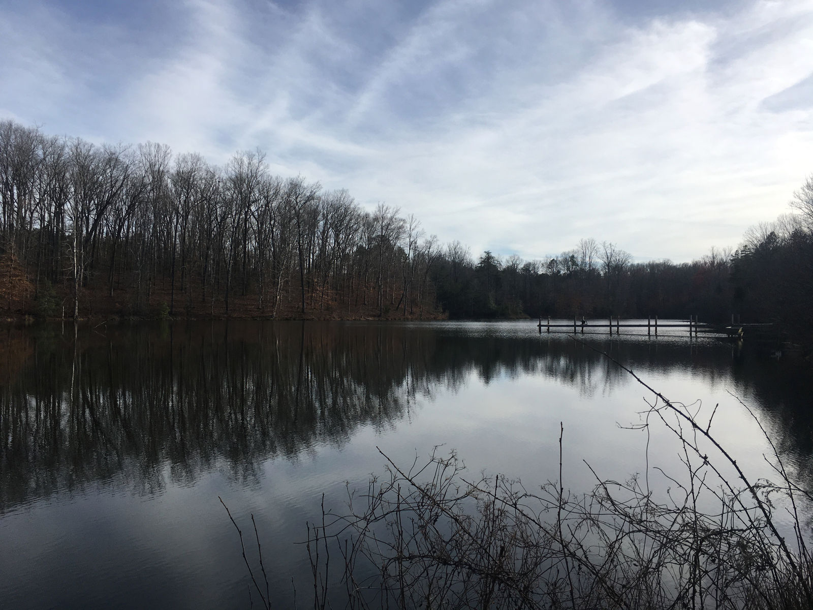 Bio Way Farm photo 11
