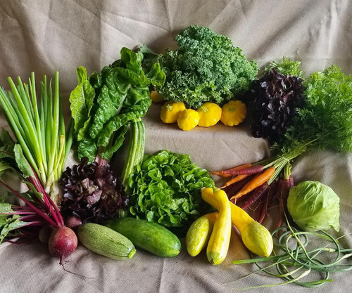 Bio Way Farm photo 8