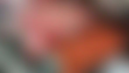 Luis' Butcher shop has a killer restaurant inside!