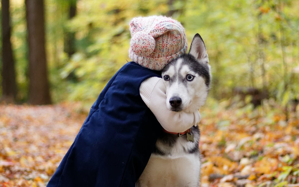Pet Cremation by Water Arlington Heights, Chicago
