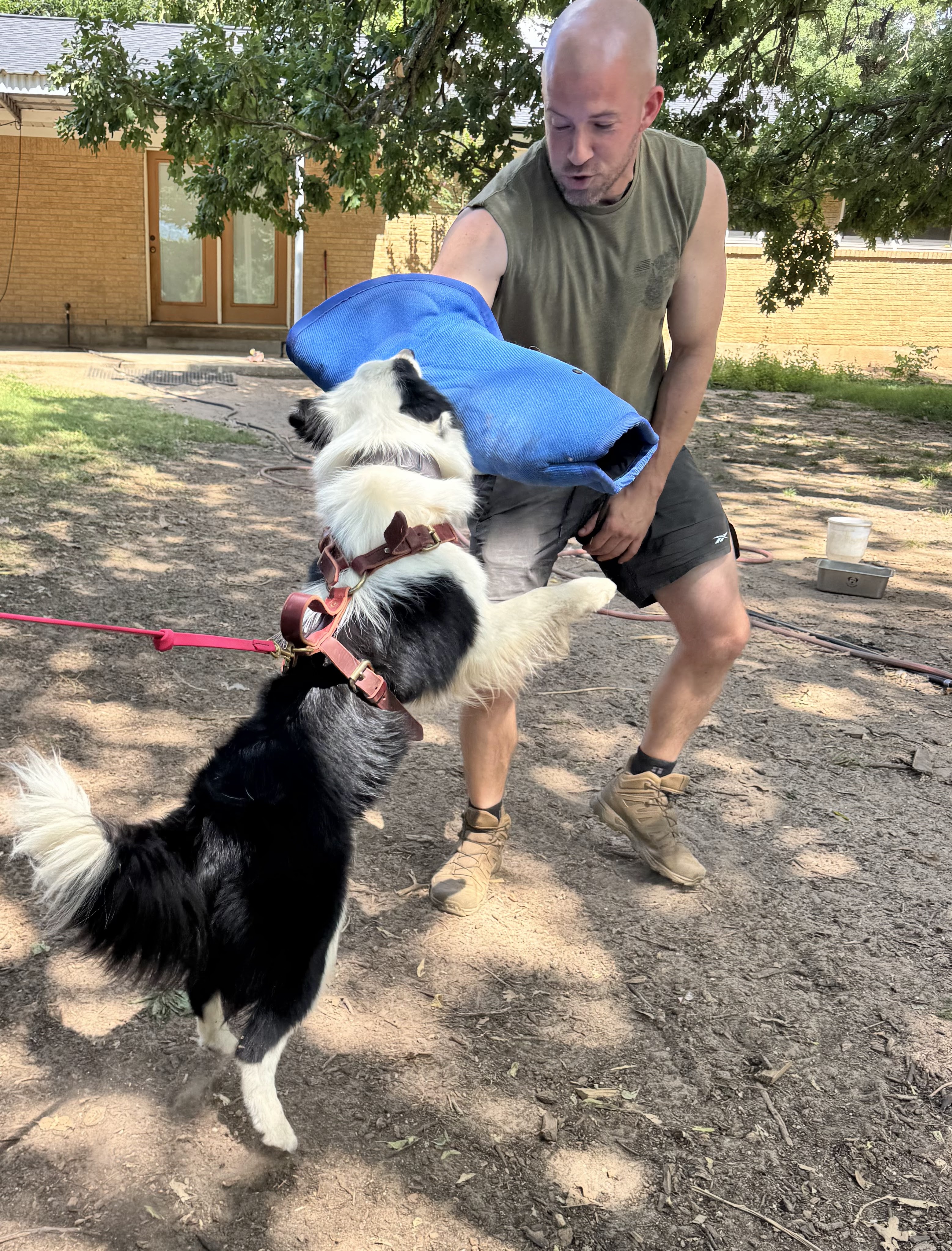 Customized board-and-train program in Weatherford, Texas