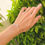 Miniatura: Bracelete Bico