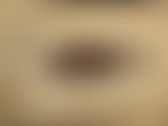 History Of The Ostrich Farm Railway