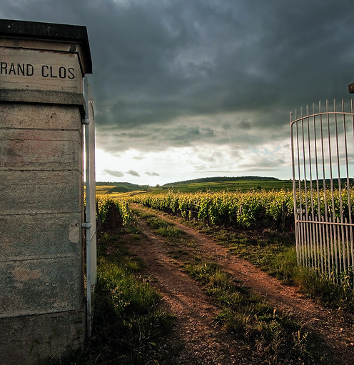 Clos des Epenots photo.jpg