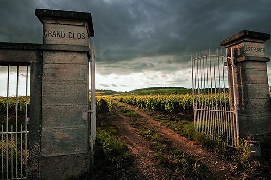 Clos des Epenots photo.jpg