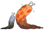 img03.png