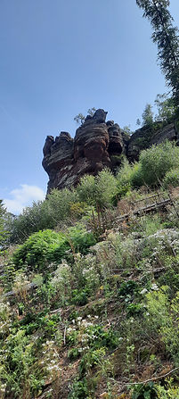 20210821_135204.jpg