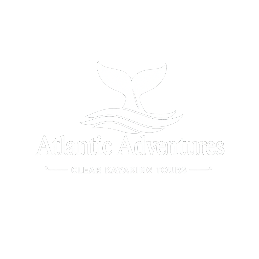 Atlantic Adventures — Clear Kayaking Tours