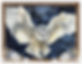 Calendar Front.jpg