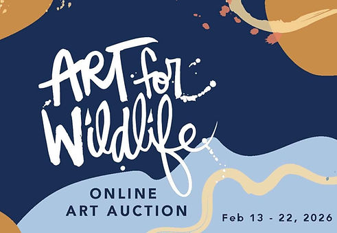 Screenshot 2026-02-12 133950.jpg