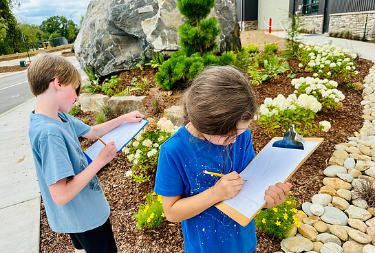 FernLeaf Academics