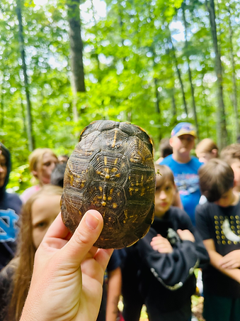 FernLeaf Turtle Club After School Program.HEIC