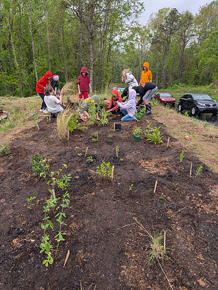 FernLeaf's Pollinator Gardening Club