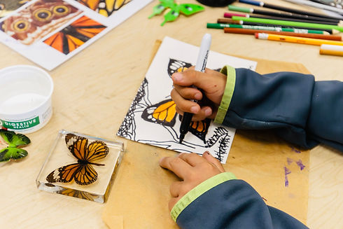 FernLeaf Afterschool Wild for Art Winter 2025