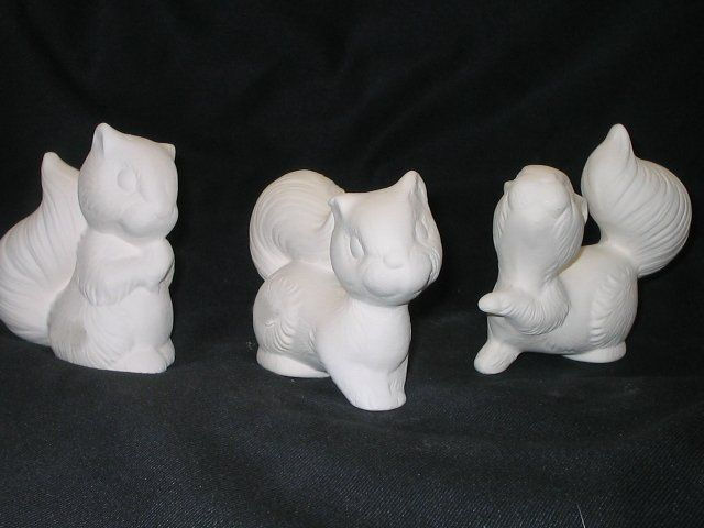 Three baby squirrels