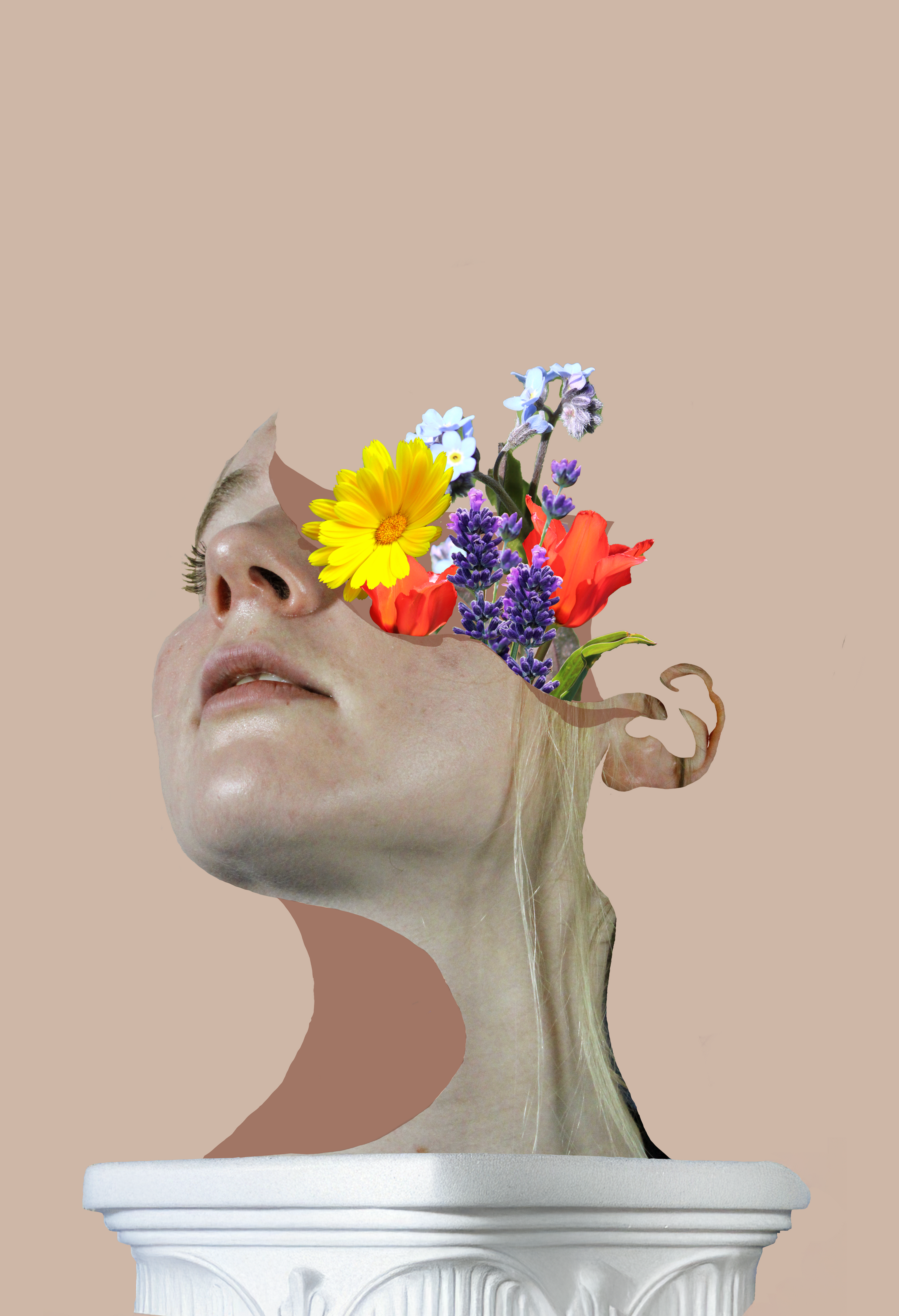 Flowers Set In Stone