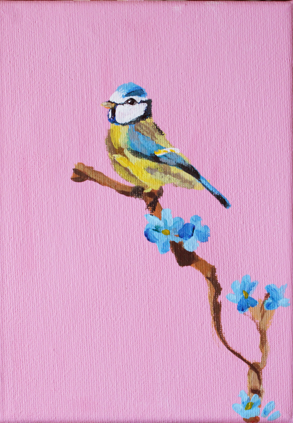Benny the Bluetit