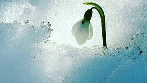 Luna Escorpio en conjunción al Nodo Sur 5 Agosto 2022