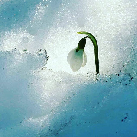 Luna Escorpio en conjunción al Nodo Sur 5 Agosto 2022