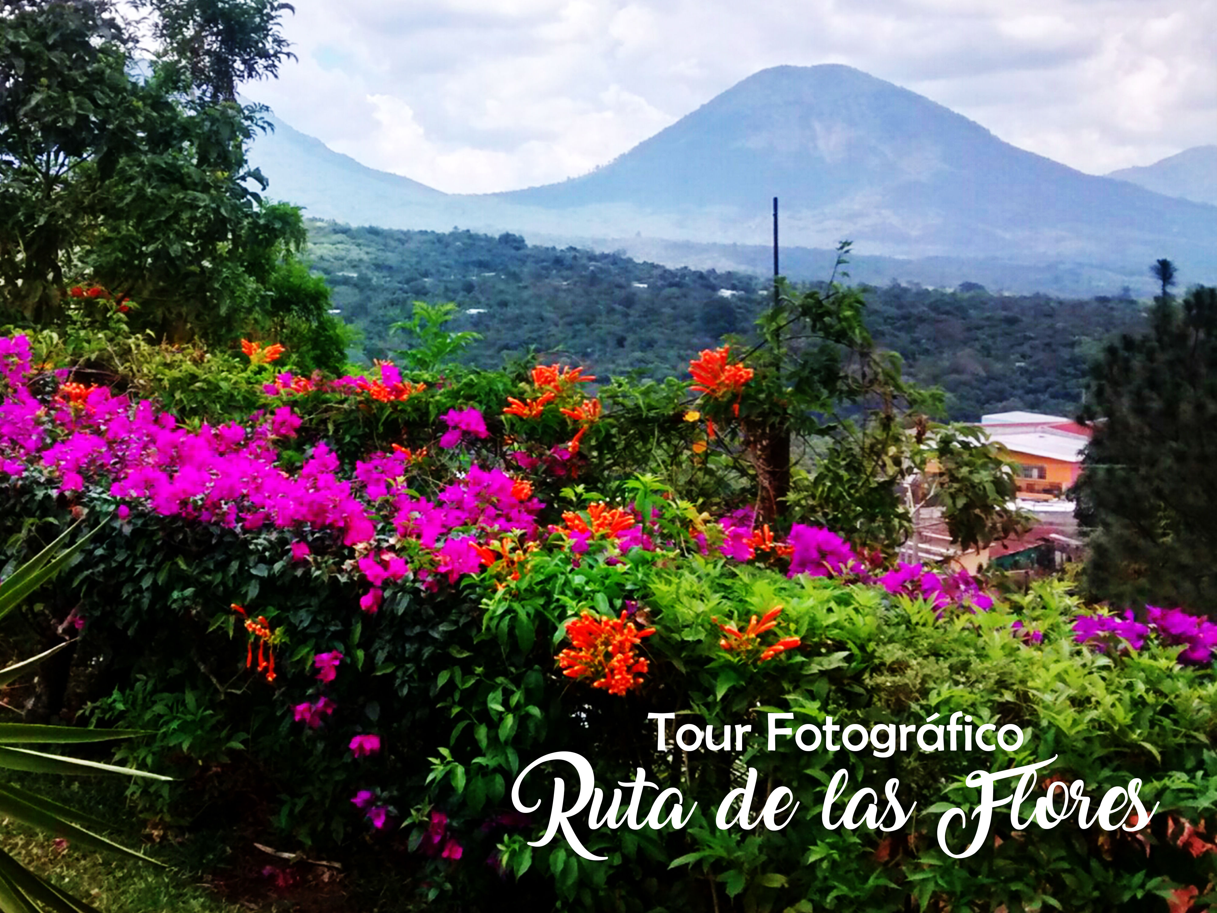 TOUR RUTA DE LAS FLORES