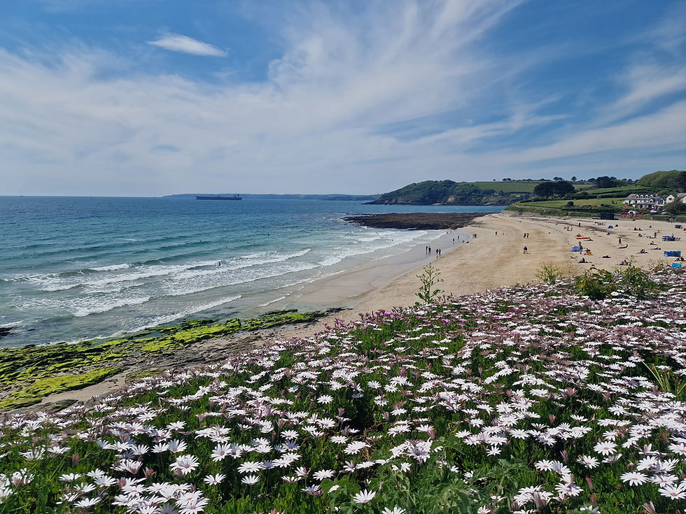 Gyllyngvase Beach - a 5 minute stroll from Blue Hills Luxury Apartment