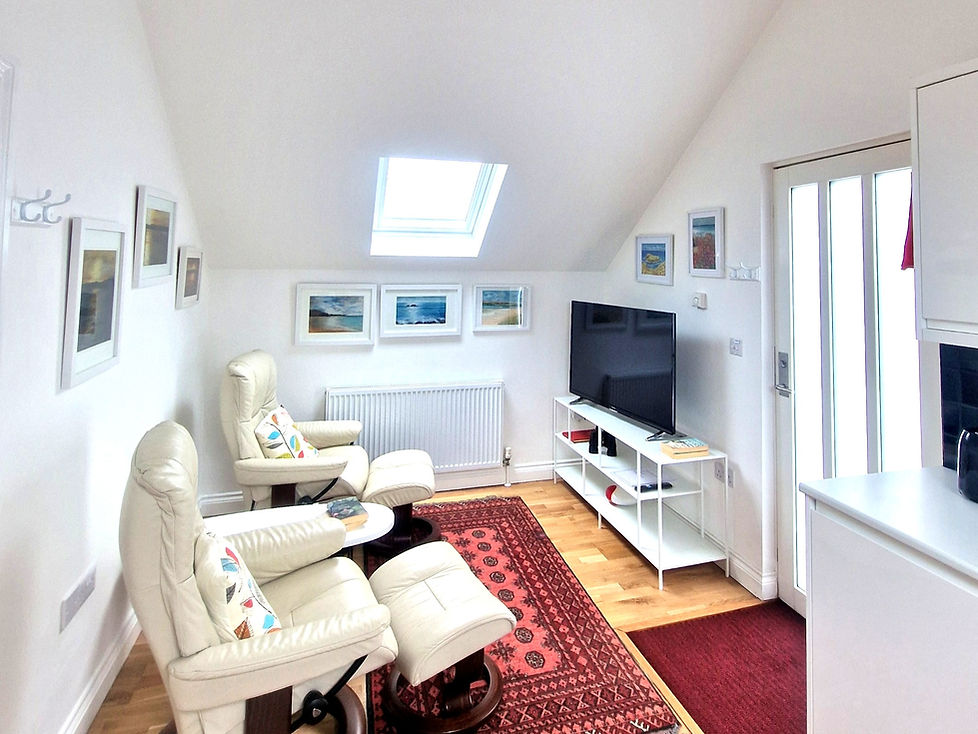 Light filled open plan lounge and kitchen beneath vaulted ceilings and expansive skylights.