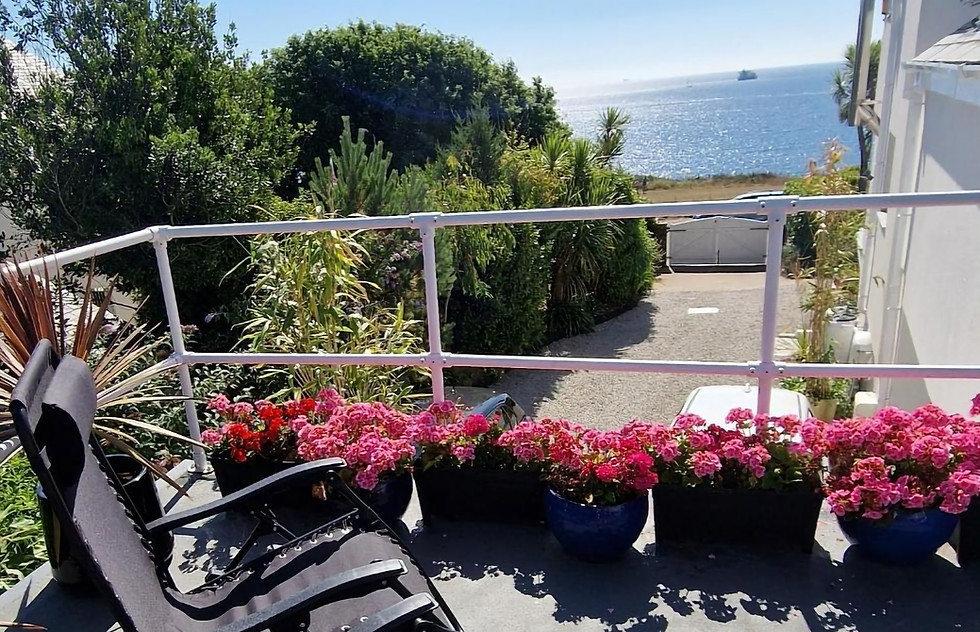 pic of balcony_edited.jpg