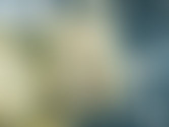 Postergan Nuevamente la Reconversión Monetaria