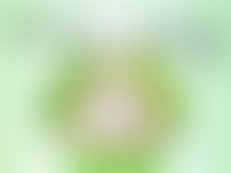 Elementos Claves del Proyecto de Conversión Monetaria