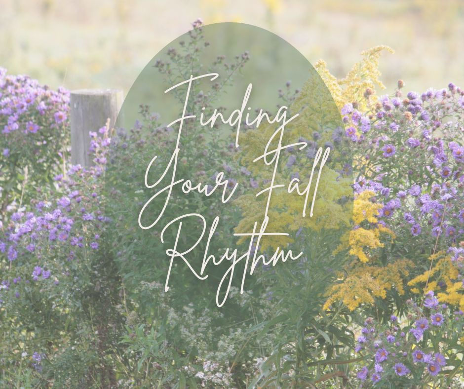 Finding Your Fall Rhythm: Simple Practices for Focus and Flow 