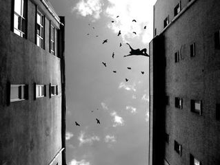 Flight of fantasy