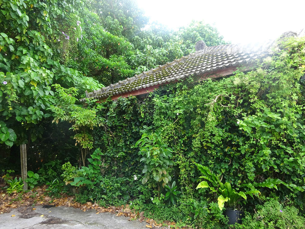 220716-0820.jpg