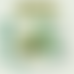 Cozy Shouldn’t Mean Congested: Resetting Indoor Allergies for a More Comfortable Home