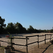 IMG_0525_edited.jpg