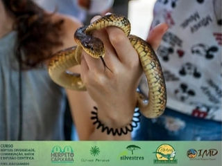 herpeto capixaba_cobra