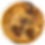 Chocolate Chip