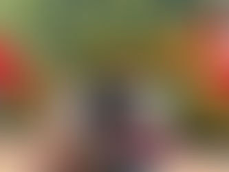 Two Weeks Driving a Tuktuk the Length of India