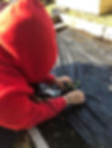 IMG_1883.jpeg