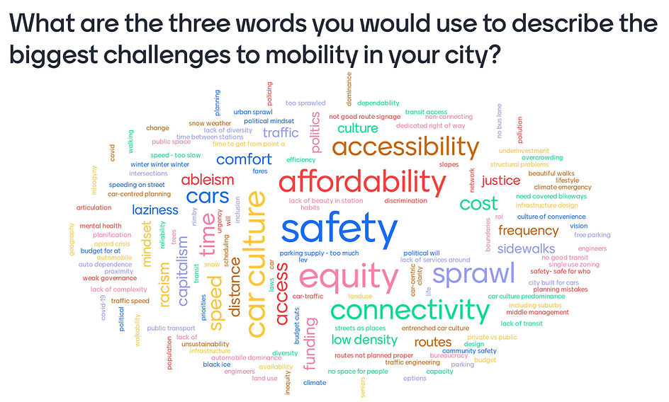 WORD CLOUD CanU-Challenges-to-Mobility.j