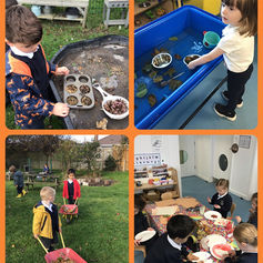 Leaf exploration in Nursery